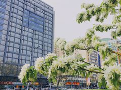 -金宫殿故址