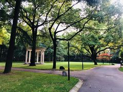 -叶叶菩提(太原别墅店)