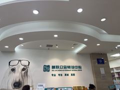 -美联众合动物医院·24h转诊中心