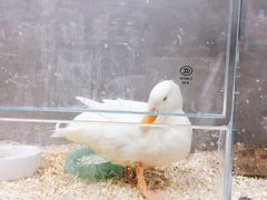 -狗道宠物(常熟印象城店)
