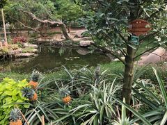 -南通洲际绿博园