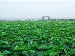 -白塘生态植物园