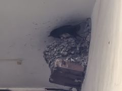 -伊隆斋(什刹海店)