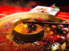 -小龙翻大江文化火锅(宽窄店)