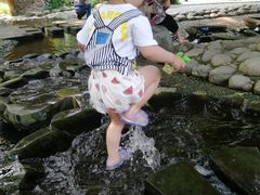 -成都市活水公园