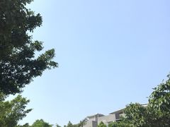 -黄埔古港