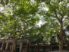-福1015(愚园路店)