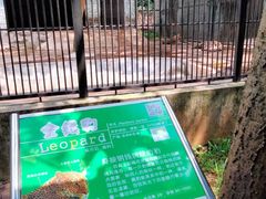 -广东茂名森林公园
