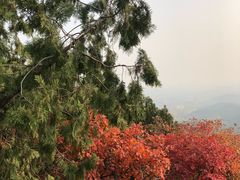 -红螺寺