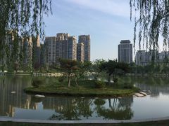 -木塔寺遗址生态公园