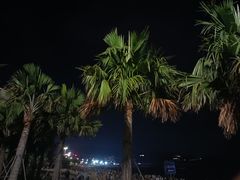 -大梅沙海滨公园-停车场