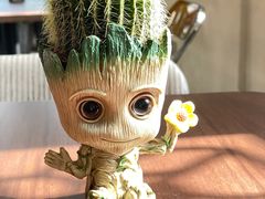 -Fridi Patisserie Cafe