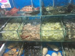 -海口东站