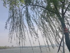 -西泠印社