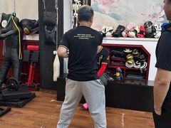 -温鉴良实用咏春拳