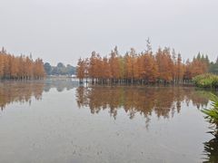 -白鹭湾湿地公园