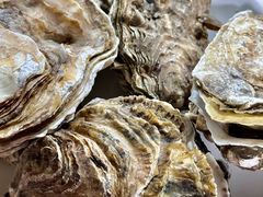 -超越海鲜屋(飞龙物业店)