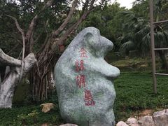 -深圳野生动物园