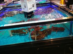 水产区-盒马鲜生(杭州运河上街店)