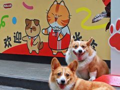 -白云宾馆·白云宴餐厅
