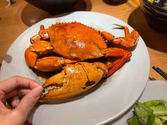 -Lia Cafe Bar Restaurant松山咖啡屋