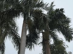 -广州市白云山风景名胜区