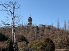-焦山风景区
