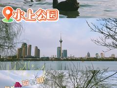 -天津水上公园