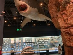 -浙江自然博物院(杭州馆)
