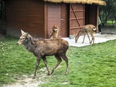 -上海交通大学(闵行校区)