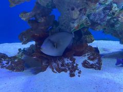 -海合安武汉极地海洋公园