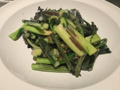红菜苔-许家菜(DT51店)