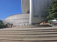 -烟台海昌鲸鲨海洋公园