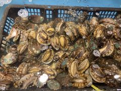 小鲍鱼-喜庭海鲜自助(来福士店)