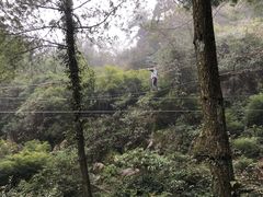 -梦幻奥陶纪景区