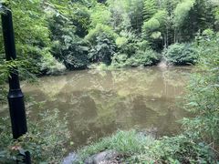 -波尔登森林公园