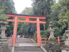 -奈良公园