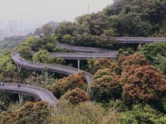 -福道