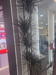 -HaLo hair studio
