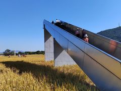 -艾米稻香小镇