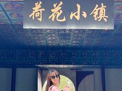 -白洋淀景区