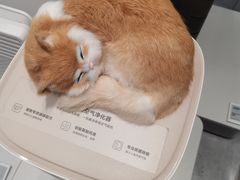 -城市酒店·沪江轩餐厅