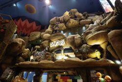 -卡通尼·Safari非洲探索乐园·生日会(金桥国际商业广场店)