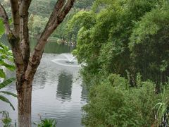 -重庆彩云湖湿地公园