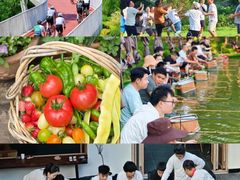 -上海山野camping·户外天幕烧烤·团建拓展营地