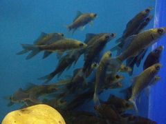 -多彩贵州城极地海洋世界