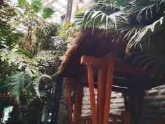 -龙达温泉生态城