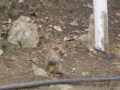 -黔灵山公园