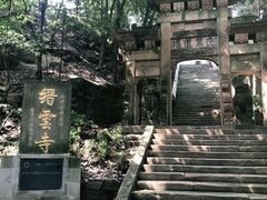 -缙云山景区