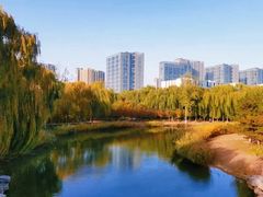 -大兴滨河森林公园